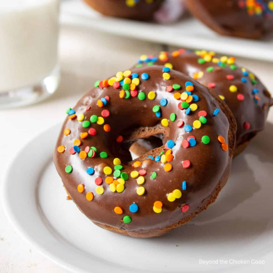 Baked Chocolate Donuts